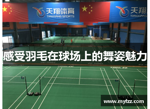 感受羽毛在球场上的舞姿魅力