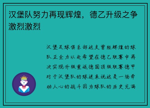 汉堡队努力再现辉煌，德乙升级之争激烈激烈